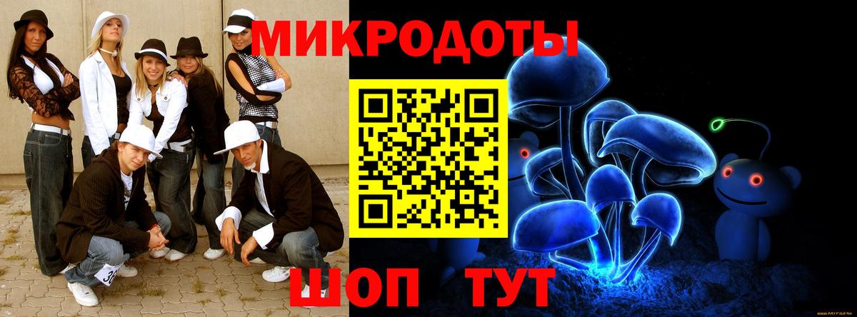 Псилоцибиновые грибы Cubensis  Вход с VPN  Красногорск  Псилоцибиновые грибы Psilocybe 